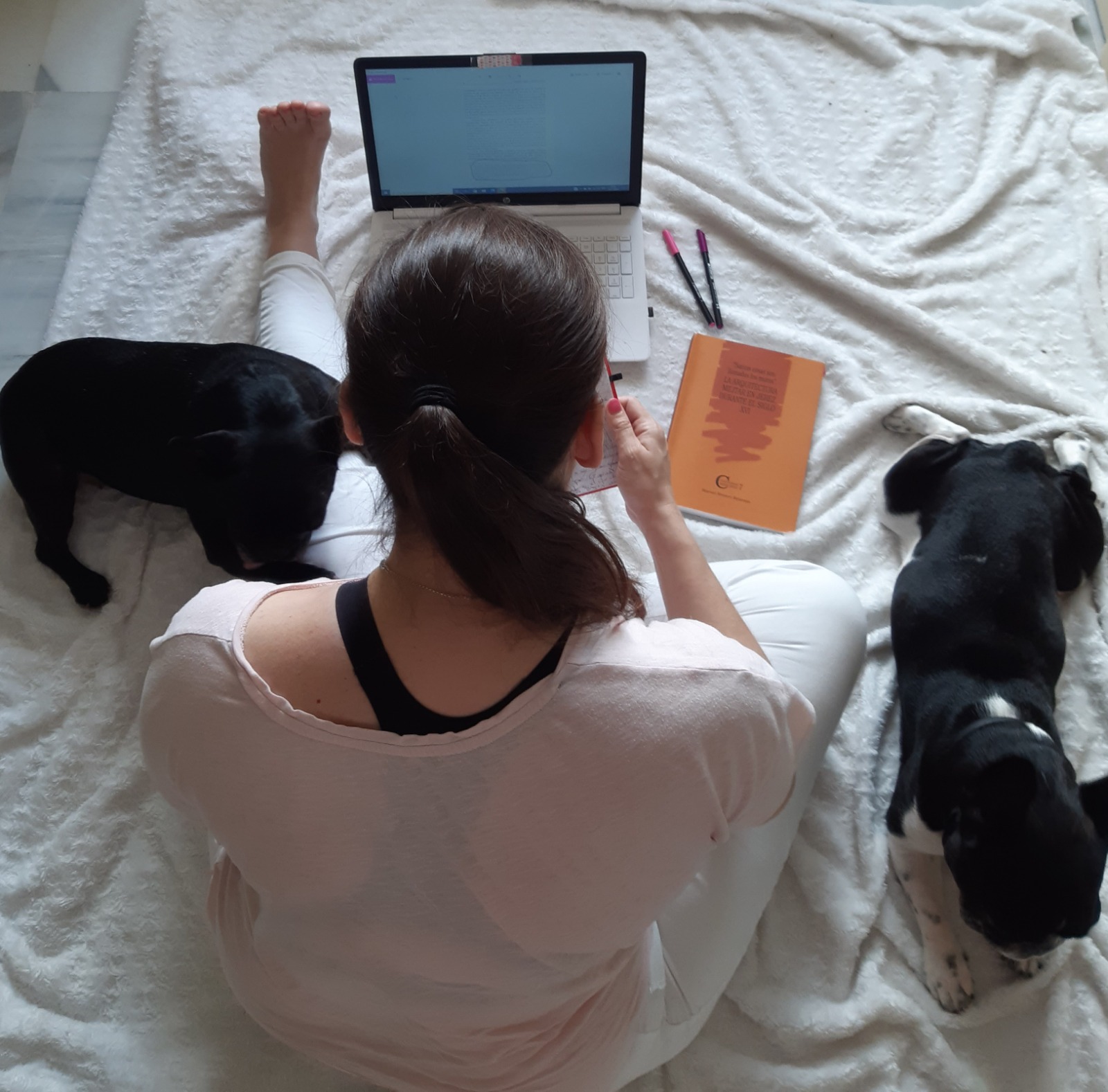 Autora jerezana escribiendo en libreta mientras trabaja con laptop, acompañada de dos perros sobre manta blanca